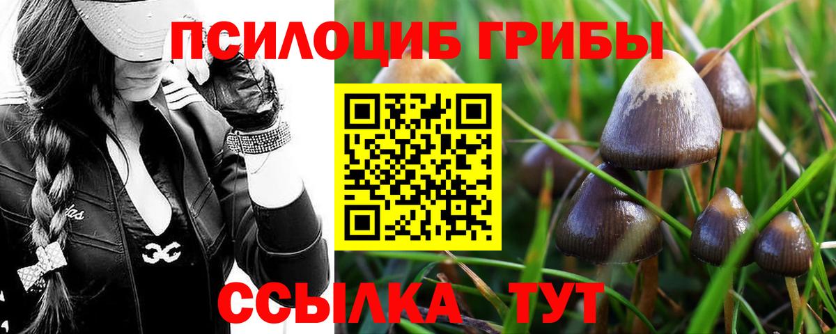 Галлюциногенные грибы ЛСД Клинцы